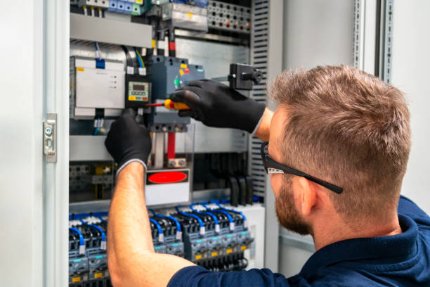 Best Electric Panel Repair  in Inglis, FL