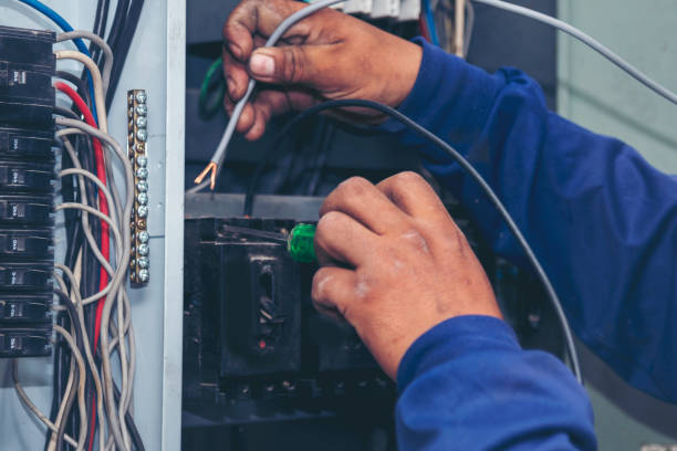 Best Home Electrical Repair  in Inglis, FL